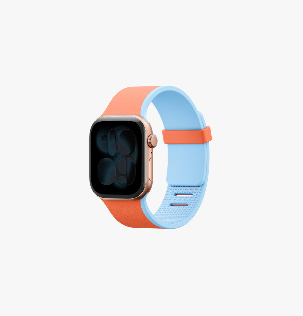 Revix IV PANTONE® Edition Reversible Apple Watch Band